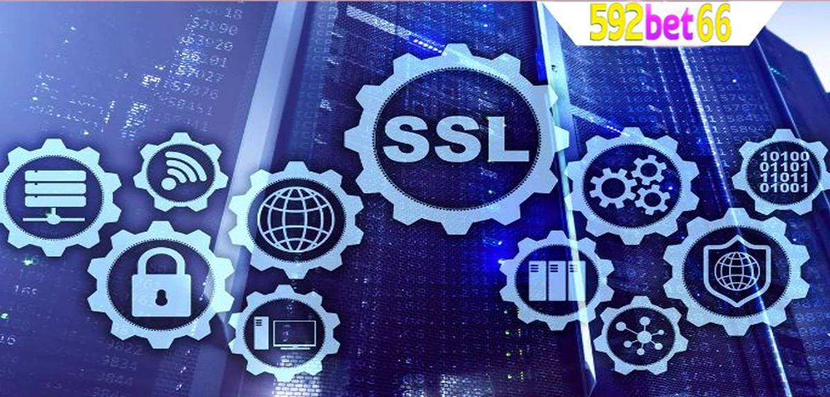 592bet-ssl